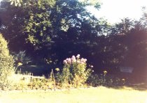 Abram's Delight, yard work